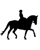 Hose Dressage
