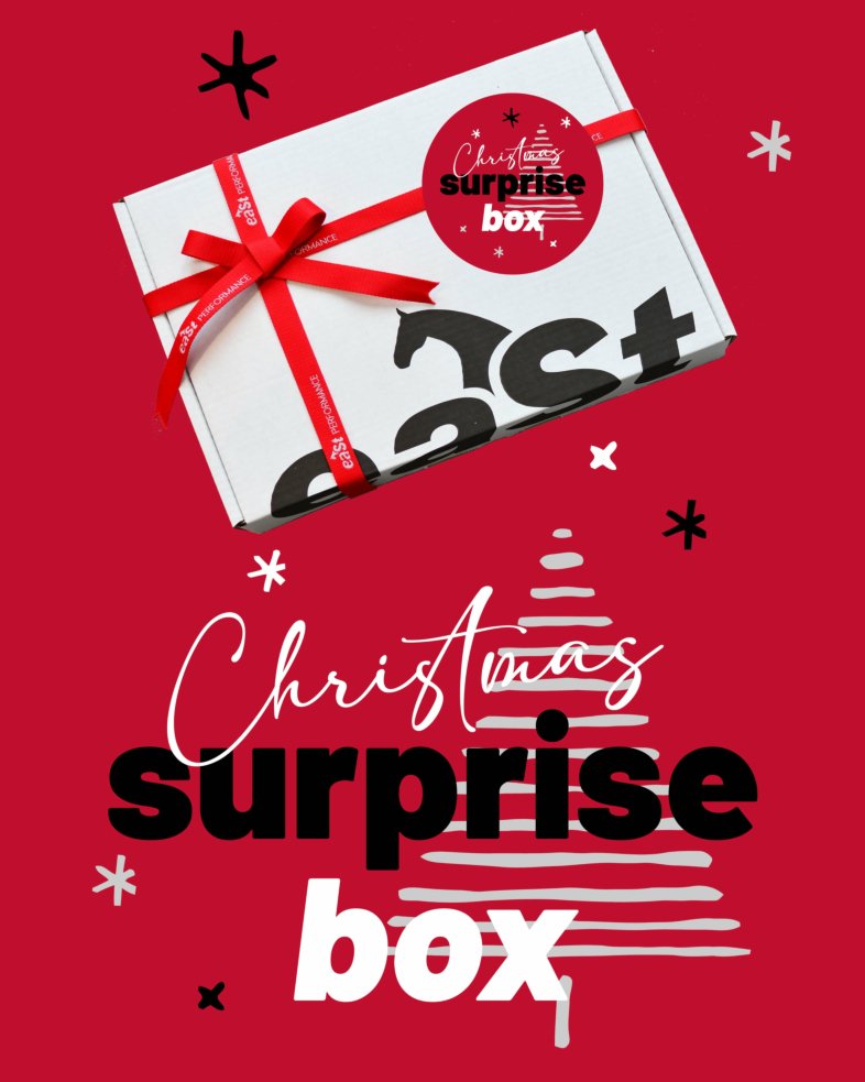 eaSt Christmas Surprise Box