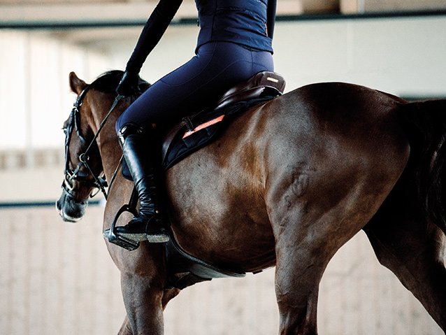Trend alert for all riders: The new breathable winter edition of the riding leggings!