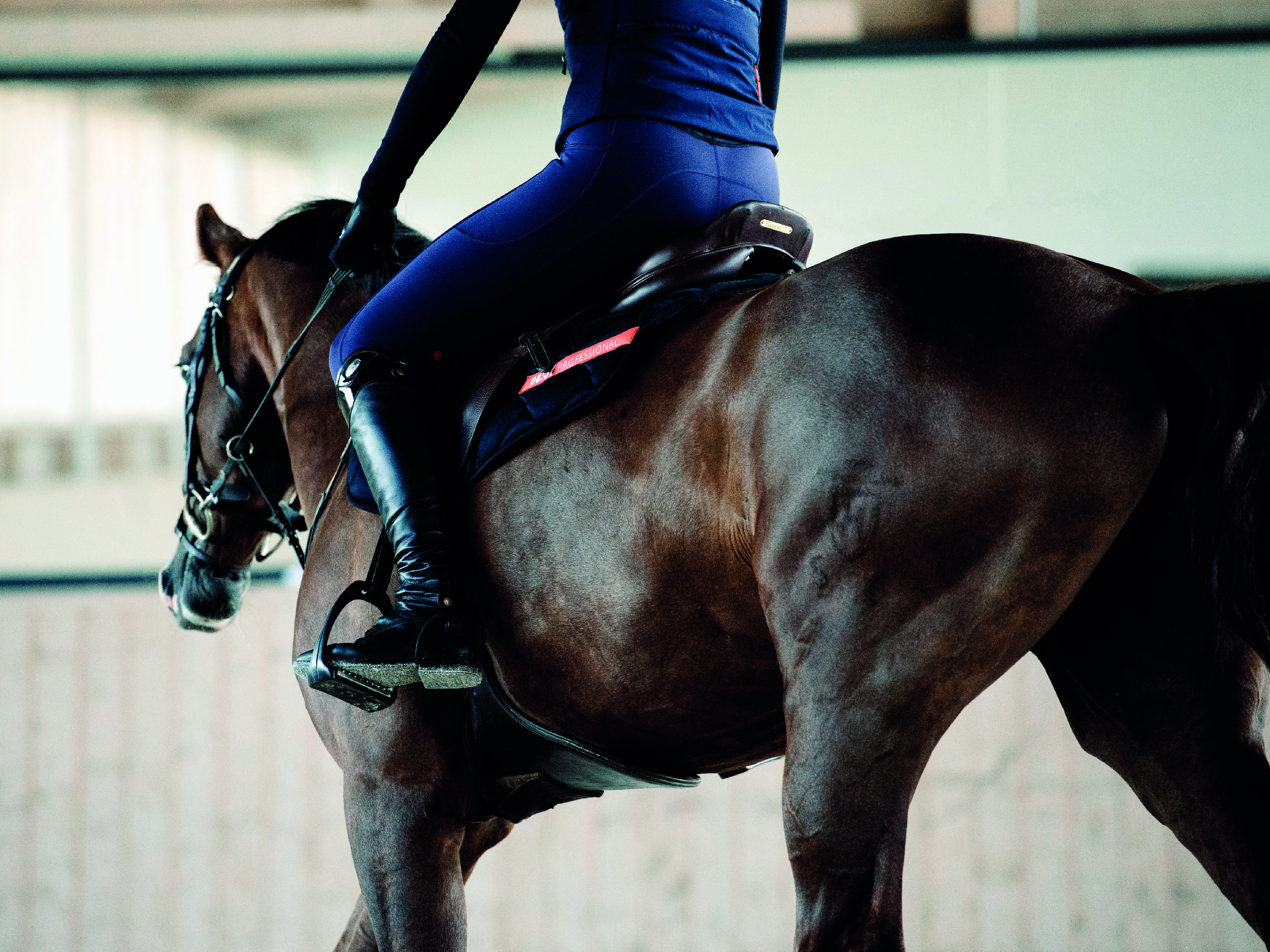 Trend-Alarm für Reiter: Die neue atmungsaktive Reitleggings im Winterlook!