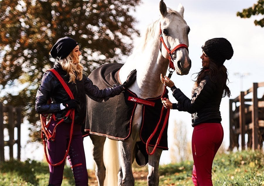 Riding in winter: In these breeches you will not be cold