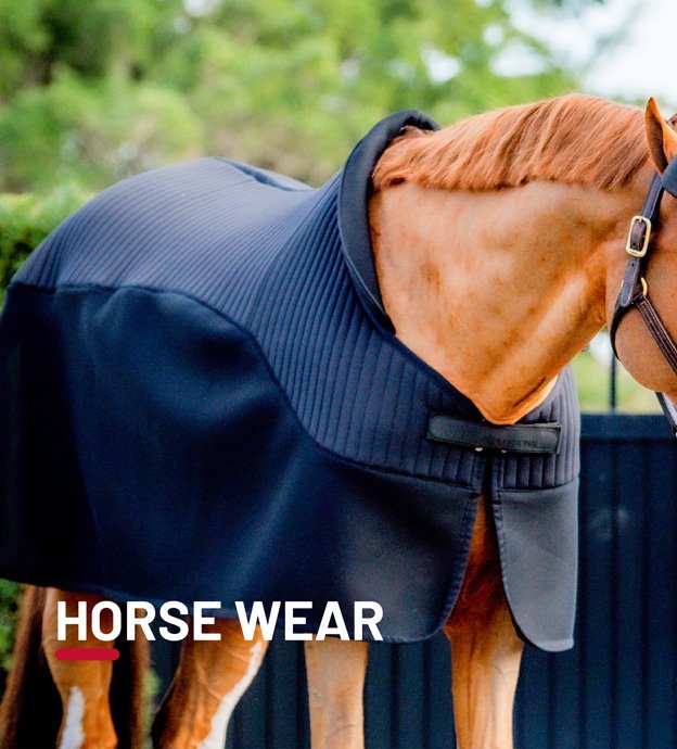 ea.St riding wear online shop Riding leggings Reggings® and riding