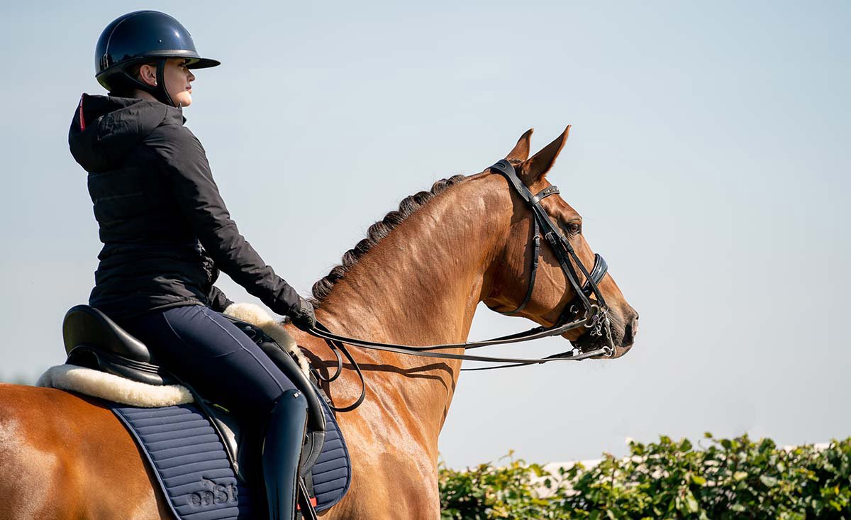 Veste de dressage outlet equitation