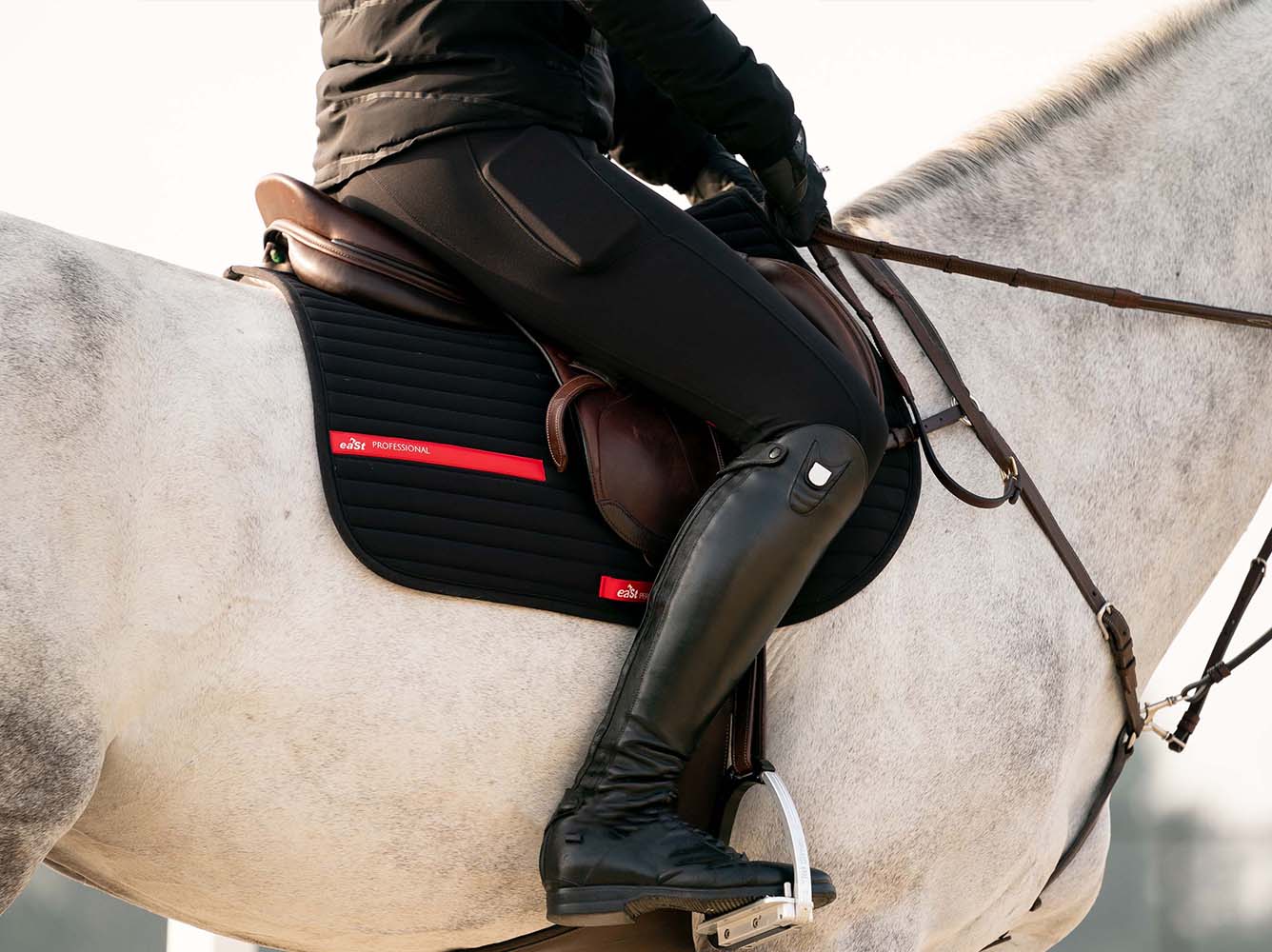 dirigir olvidadizo aficionado Pantalones de montar para entretiempo - consejos del profesional de la  equitación